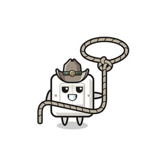 the light switch cowboy with lasso rope