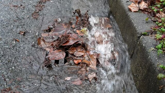 Closeup of excessive rainwater flooding down a residential street gutter, over a storm drain blocked by dead leaves
