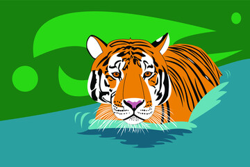 A tiger in water on a green background.