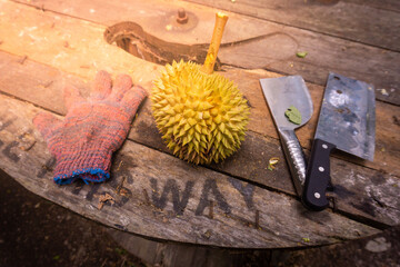 Fresh exotic fruit at garden with sun ray affect. The fruits also known as king of fruits at...