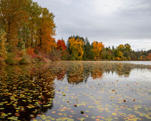 Beautiful autumn water reflection
