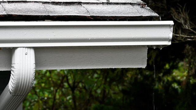 Rainwater running down an asphalt shingle roof and running into a white gutter and downspout, leaking on the end, rainy winter day in a residential yard
