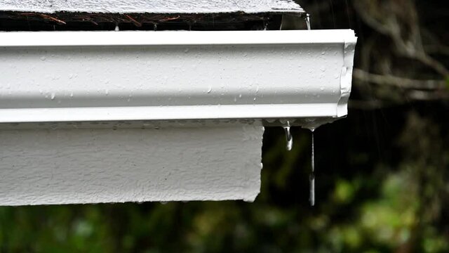 Rainwater running down an asphalt shingle roof and running into a new white gutter, leaking on the end, rainy winter day in a residential yard
