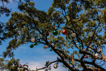 trees with christmas decoration