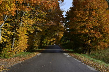 Obraz premium road in autumn