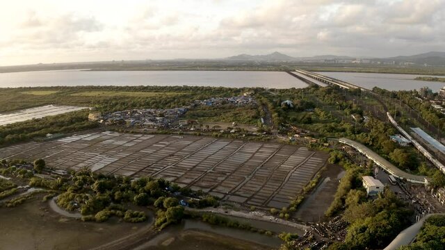 Aerial View Salt Flats With Vasai Railway Bridge Over Vasai Creek In Mumbai, Maharashtra, India.
