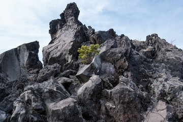 積み上がった溶岩