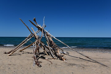 wood on a beach