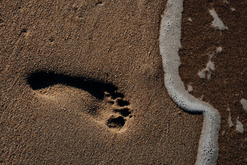 Fototapeta na wymiar A single foot print imprinted in the sand on the beach.