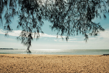Tropical beach and filao pine tree hanging, Ban Krut Beach, Thailand