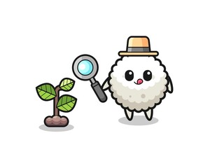 cute rice ball herbalist researching a plants