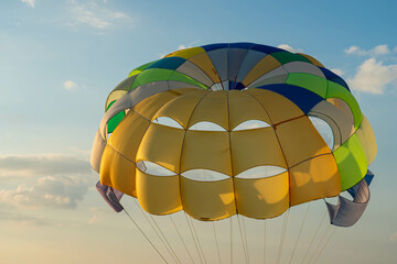 People parasailing in the wind on the beach in the evening