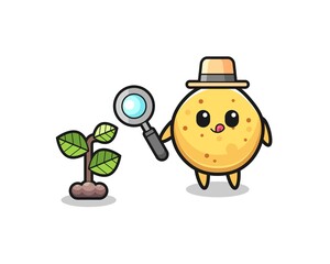 cute potato chip herbalist researching a plants