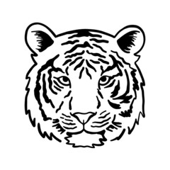 Tiger head. Tiger face. Vector outline illustration isolated on white background. Simbol of 2022 year