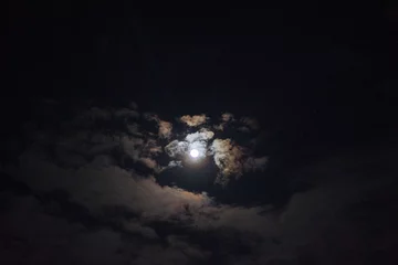 Papier Peint photo autocollant Pleine Lune arbre Pleine lune qui brille sur le ciel par temps nuageux. Fond naturel