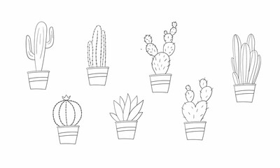 Vector set of cactus plants in pots with outlines. Hand drawn cactus on white background design