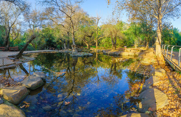 Wading pools among trees, in Tel Dan Nature Reserve