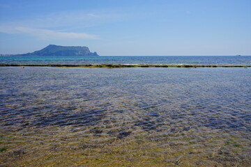 a charming scenery around seopjikoji 