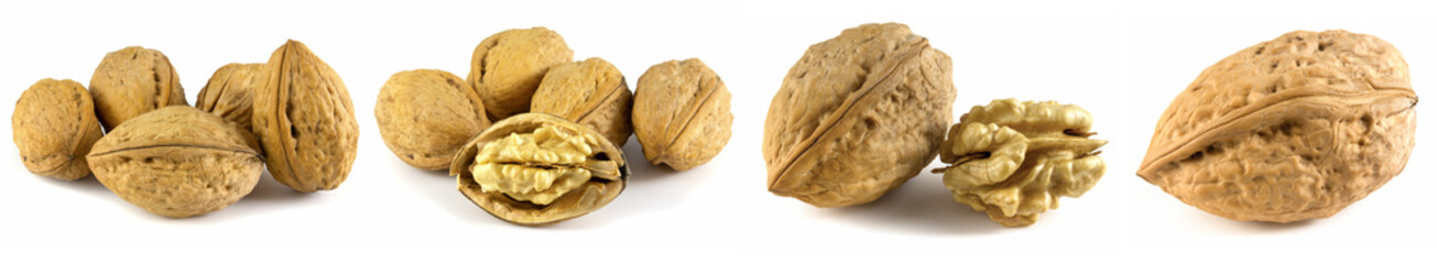 Walnuts isolated on white background. Set of 4 photos.