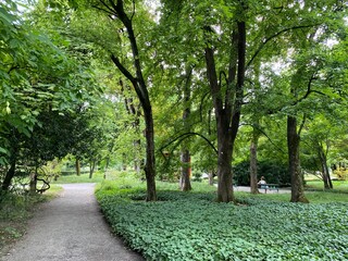 The Zagreb Botanical Garden or Botanical Garden of Faculty of Science - Zagreb, Croatia (Botanički vrt grada Zagreba ili Botanički vrt Prirodoslovno-matematičkog fakulteta Sveučilišta u Zagrebu)