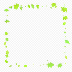 Leaves Falling Spring Flying Foliage Green Leaf