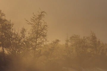 Life Style scene taken from Makena beach, Maui, Hawai 2022, january. 