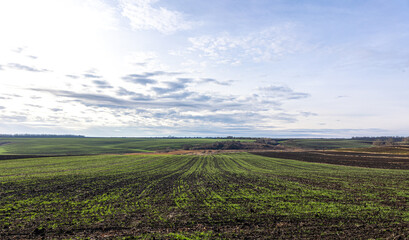 Fototapeta na wymiar Rural landscape, beautiful field and sky with clouds.