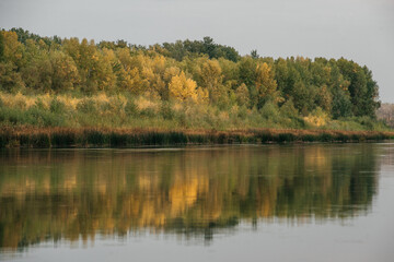 autumn, a calm lake with a bank of yellow trees