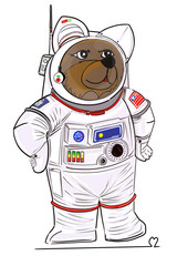 cartoon bear drawing 