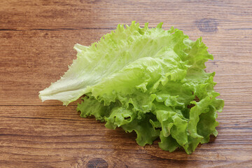 Fresh green salad lettuce leaves