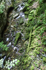 River in countryside