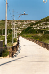 Path on natural reserve