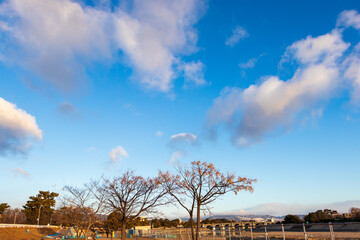 冬の川沿いの公園と青い空