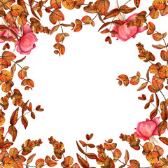 Frame from yellow-orange twigs of barberry and rose flowers on a white background.