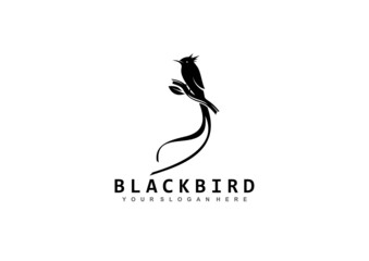 Bird Logo Design, Sillhouette Bird Logo Concept