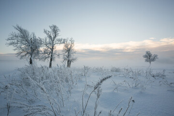 winter landscape, frozen trees, snowy view, beautiful winter