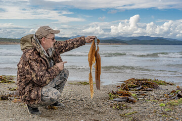 an elderly man on the seashore, picking up seaweed