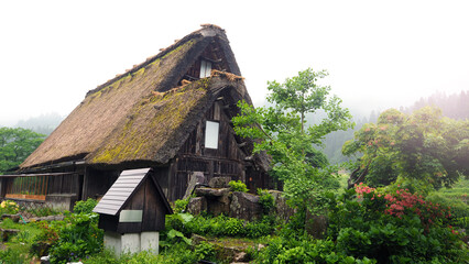 Fototapeta na wymiar Shirakawa-go village in the rainy day and old vintage style house in Japan.