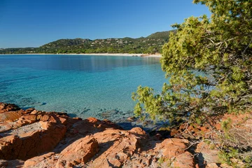 Photo sur Plexiglas Plage de Palombaggia, Corse Corse, la plage de Palombaggia