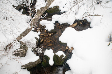 새하얀 겨울 풍경