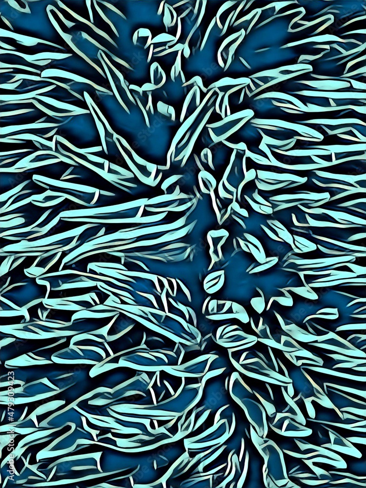 Poster variations and diversity of pattern and design coloured anemone fronds