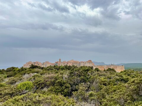 Old town of Bonifacio, built on cliff rocks, green macchia. Corsica, France.