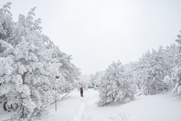 눈이 내린 겨울 풍경