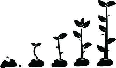 illustration of plants growing from seeds to growing leaves and flowering