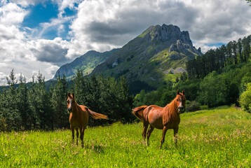Escena de dos caballos en las campas del valle de Mendiola con el monte Untzillaitz y el Anboto al...
