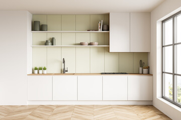 Fototapeta na wymiar Minimalist light green and white kitchen cabinet
