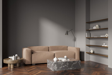 Dark living room interior with cozy sofa, coffee table, shelves