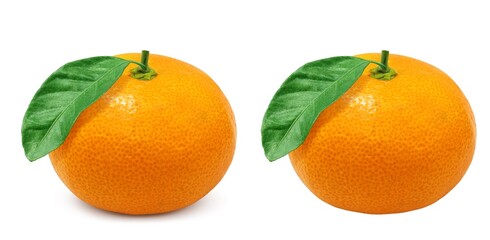 みかん 果物 イラスト リアル 葉付き