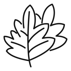 Parsley herb icon outline vector. Leaf plant