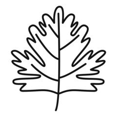 Parsley leaves icon outline vector. Leaf herb
